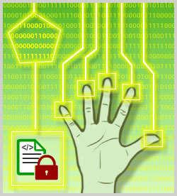 Software Programming Fundamentals: Software Security Best Practices
