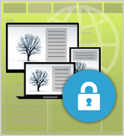 WordPress Networking and Security