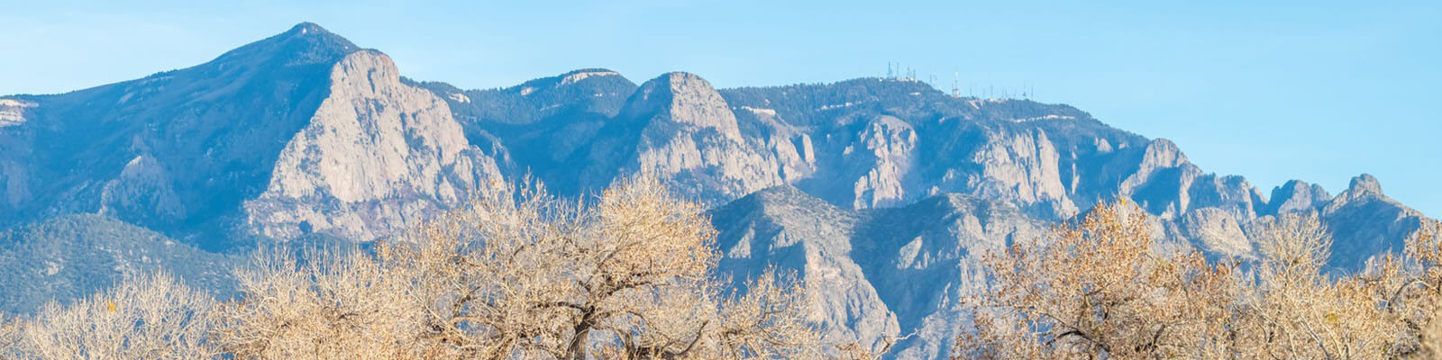 Expert-led training for teams in Albuquerque, NM