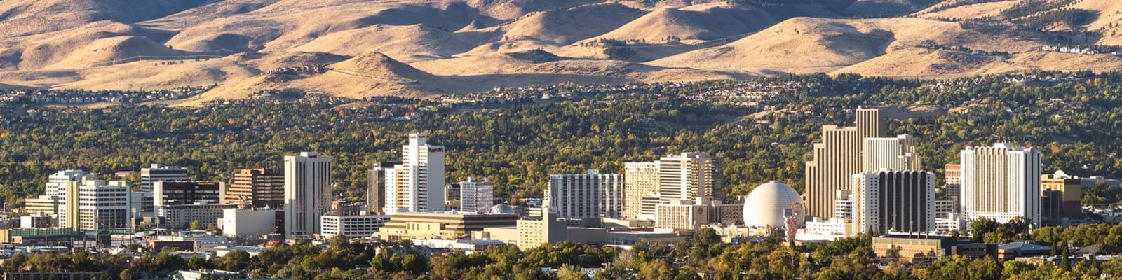 Expert-led training for teams in Reno, NV