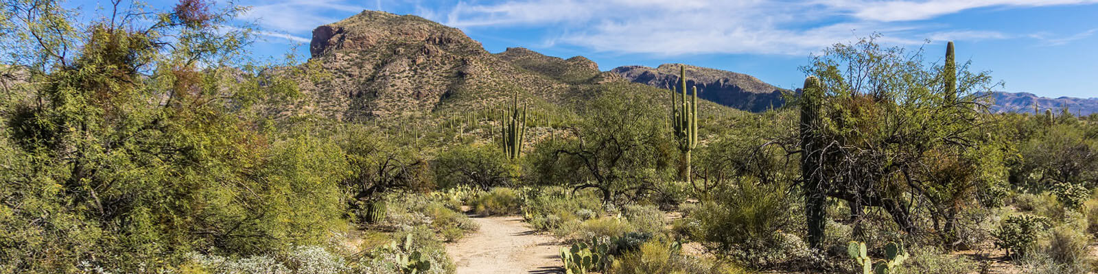 Expert-led training for teams in Tucson, AZ